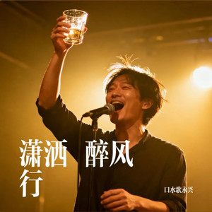 潇洒醉风行封面