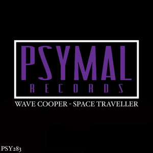 Space Traveller (Original Mix)