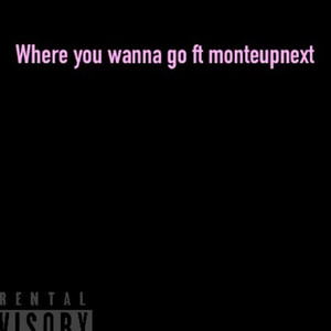 Where You Wanna Go (Explicit)