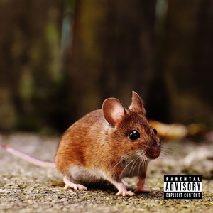 RATOS (Explicit)