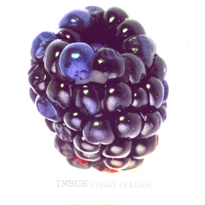 Imbue - Inflateable Replaceable Heart