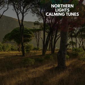 Northern Lights Calming Tunes