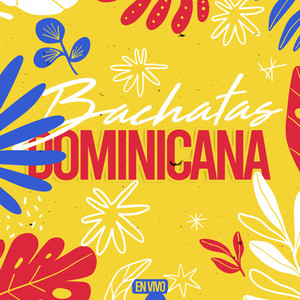 Bachatas Dominicanas (En Vivo)