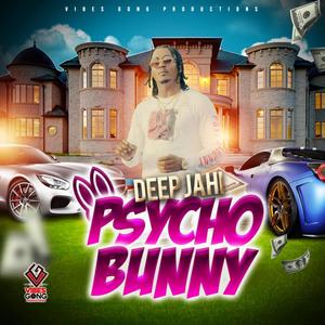 PSYCHO BUNNY (feat. VIBES GONG PRODUCTIONS) [Explicit]