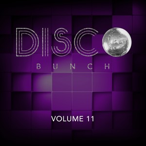 Disco Bunch, Vol. 11