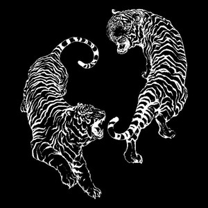 JUNGLE (Explicit)