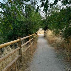 Smoke More Weed (Explicit)