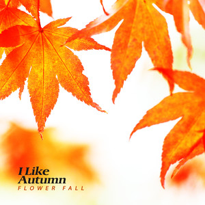 가을이 좋아요 (I Like Autumn)