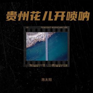 贵州花儿开 唢呐 (伴奏)