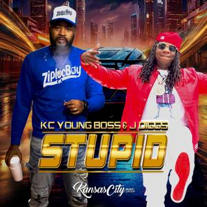 Stupid (feat. J-Diggs) (Explicit)
