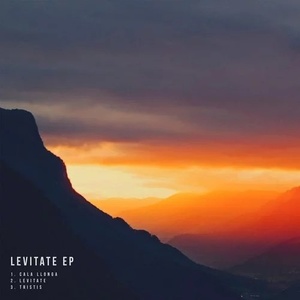 Levitate (Original Mix)