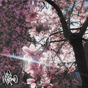 Seitdem sie verliebt ist