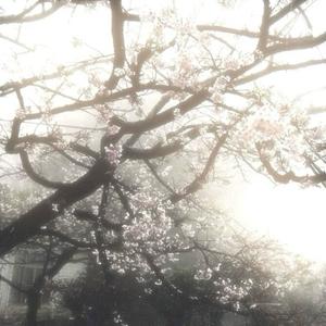 i could tell you felt alone (feat. kruu & loje)