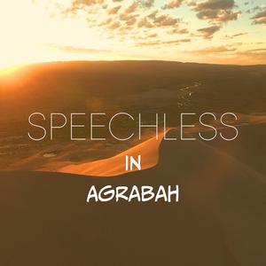 Speechless in Agrabah(feat. Viki)