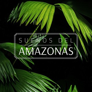 Sueños del Amazonas: Música de Fondo Sonidos de la Naturaleza Tropicales Relajarse y Dormir Profundamente