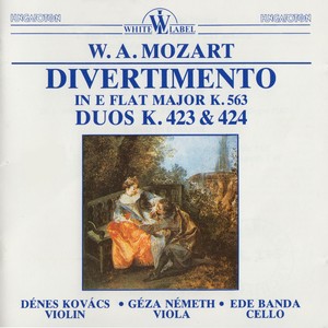 Divertimento in E-Flat Major, K. 563 - Divertimento in E-Flat Major, K. 563: I. Allegro