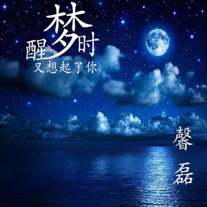 梦醒时又想起你 (伴奏)