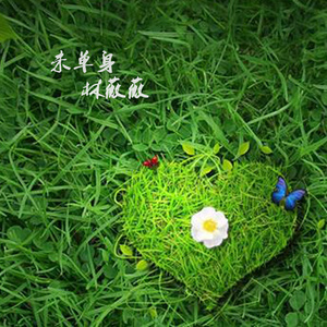 未单身 (伴奏) - 林薇薇封面