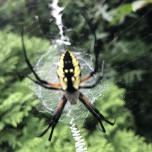 Make It Rain (Explicit)