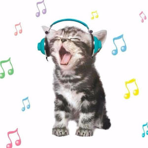 dance dance dance (Explicit)
