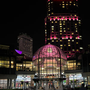 The Evening (feat. The Carnivorous Squirrels)