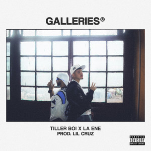 Galleries (Explicit)