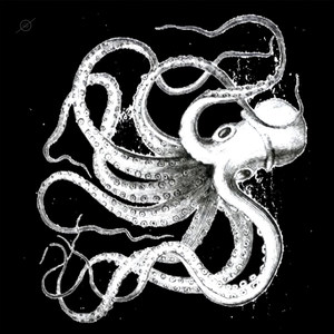 Kraken