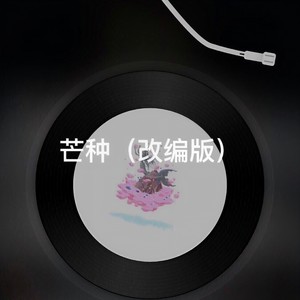 你莫走 (DJ版)