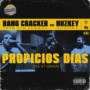 Propicios dias (Radio Edit|Wasaby Sounds Remix)