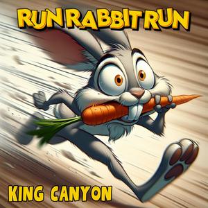 Run Rabbit Run