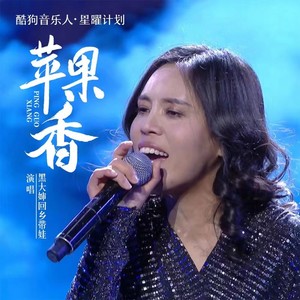 黑大婶回乡带娃 - 苹果香DJ版