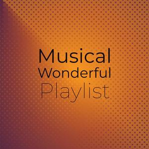 Musical Wonderful Playlist