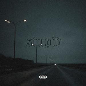 Stupid (Explicit)