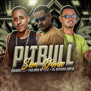 Pitbull Sem Dona (Explicit)