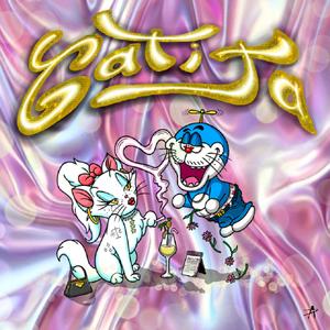 Gato cósmico