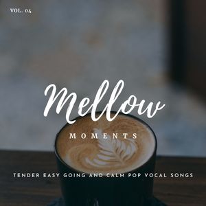 Mellow Moments - Tender Easy Going And Calm Pop Vocal Songs, Vol. 04