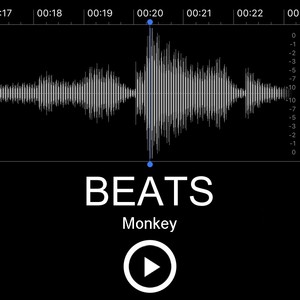 Beats Made By Monkey