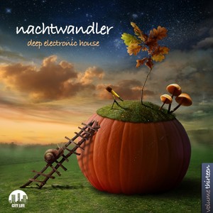 Nachtwandler, Vol. 13 - Deep Electronic House