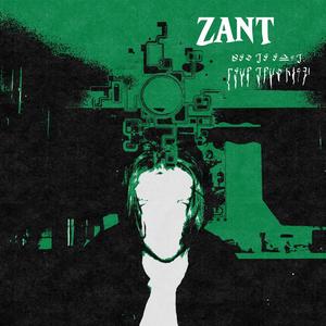 ZANT (feat. Enhance, Zaywxlk & CAA$I CAA$I) (Explicit)