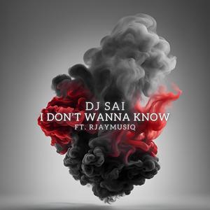 I Don't Wanna Know (feat. RJayMusiq) (Radio Edit)