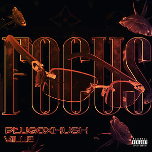 Focus (Explicit)