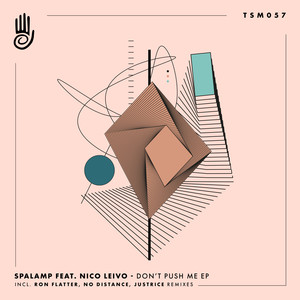 Don't Push Me (Ron Flatter Remix)
