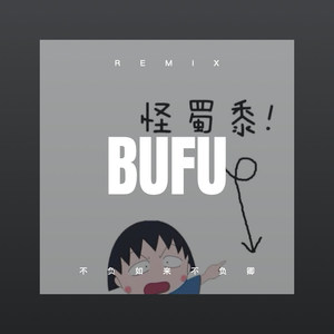 不负如来不负卿 (DJ版)