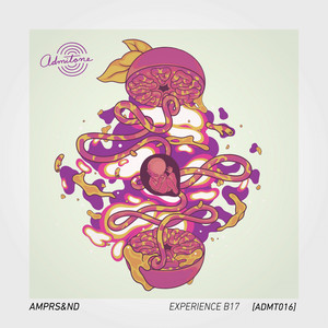 Experience B17 (Original Mix)