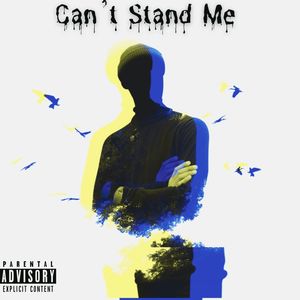 Can't Stand Me (Explicit)