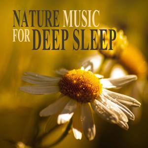 Nature Music for Deep Sleep - Mantras, Relaxation, Healing Songs, Chakra Balancing, Spirituality, Mo