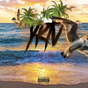 Y.K.T.V. (Explicit)