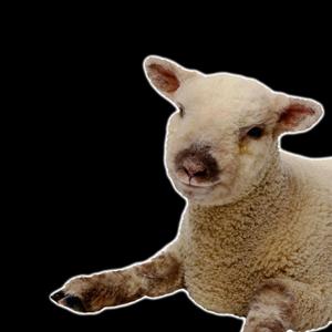 Rumple Bum Bum (Explicit)