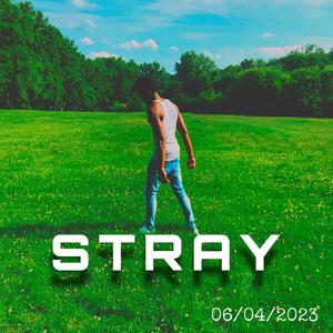 Fraudulent (Explicit)