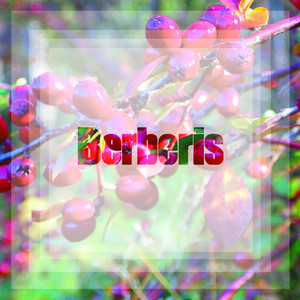 Je Suis Roumain (Original Mix)